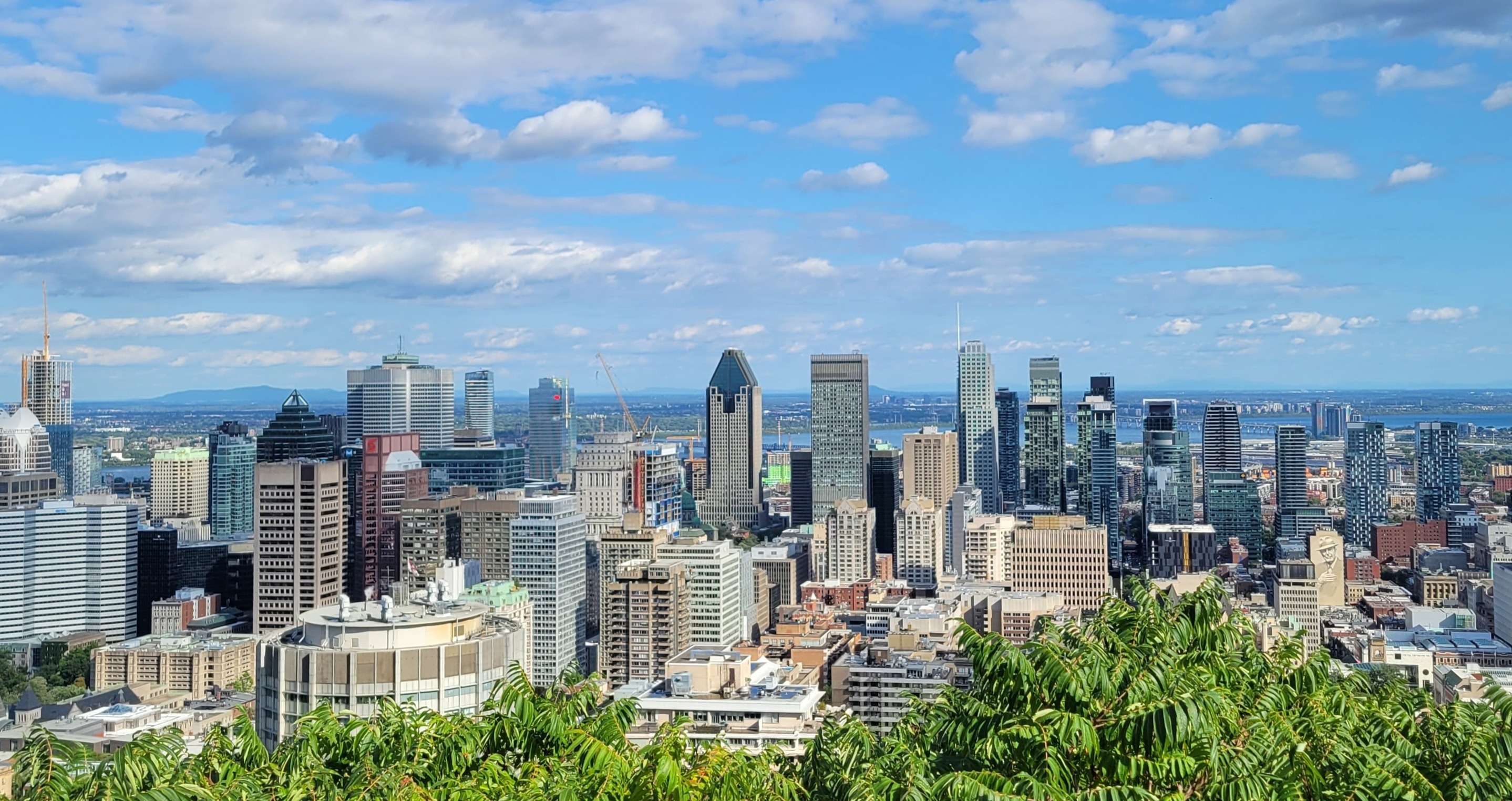 Montreal skyline from Mount Royal for the AI agency service area page